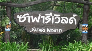 Hỗ trợ vé thăm quan Vườn Thú Safari World